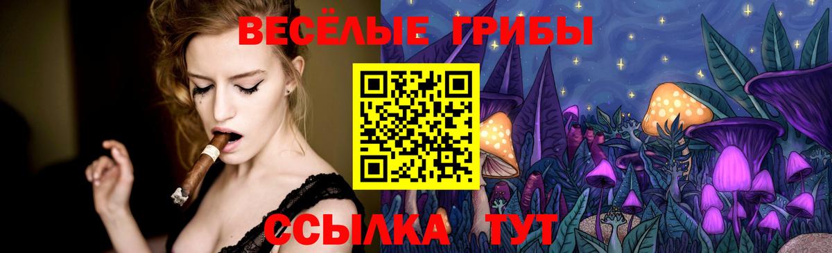 Псилоцибиновые грибы Psilocybe Советская Гавань